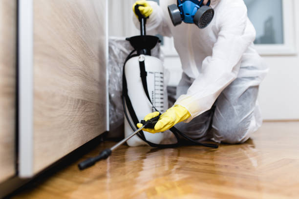 Best Best Pest Control Companies  in Lemoore, CA