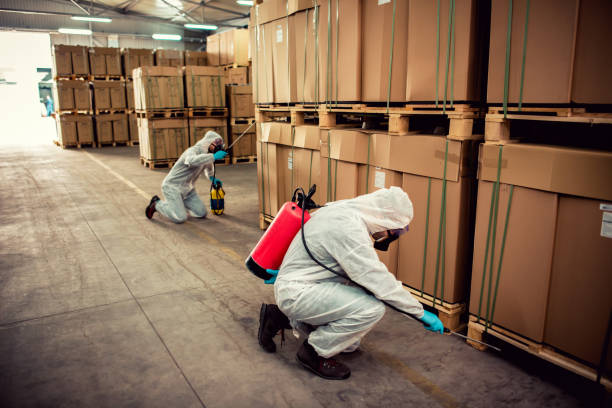 Best Best Pest Control Near Me  in Lemoore, CA