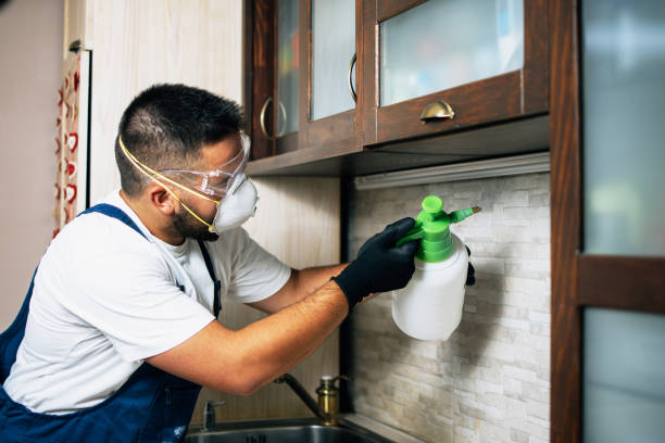Best Mosquito Control Services  in Lemoore, CA