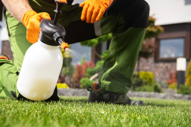 Professional Pest Control in Lemoore, CA