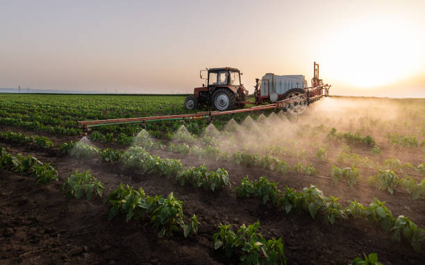 Best Pest Prevention Services  in Lemoore, CA