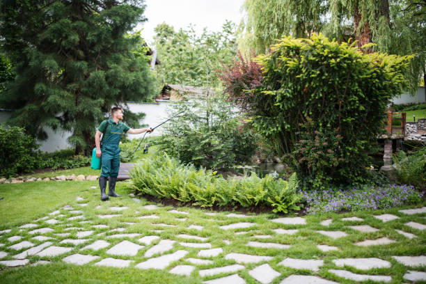 Best Pest Inspection Near Me  in Lemoore, CA
