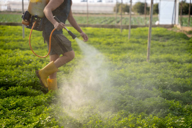 Best Residential Pest Control  in Lemoore, CA