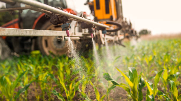 Best Local Pest Control Services  in Lemoore, CA